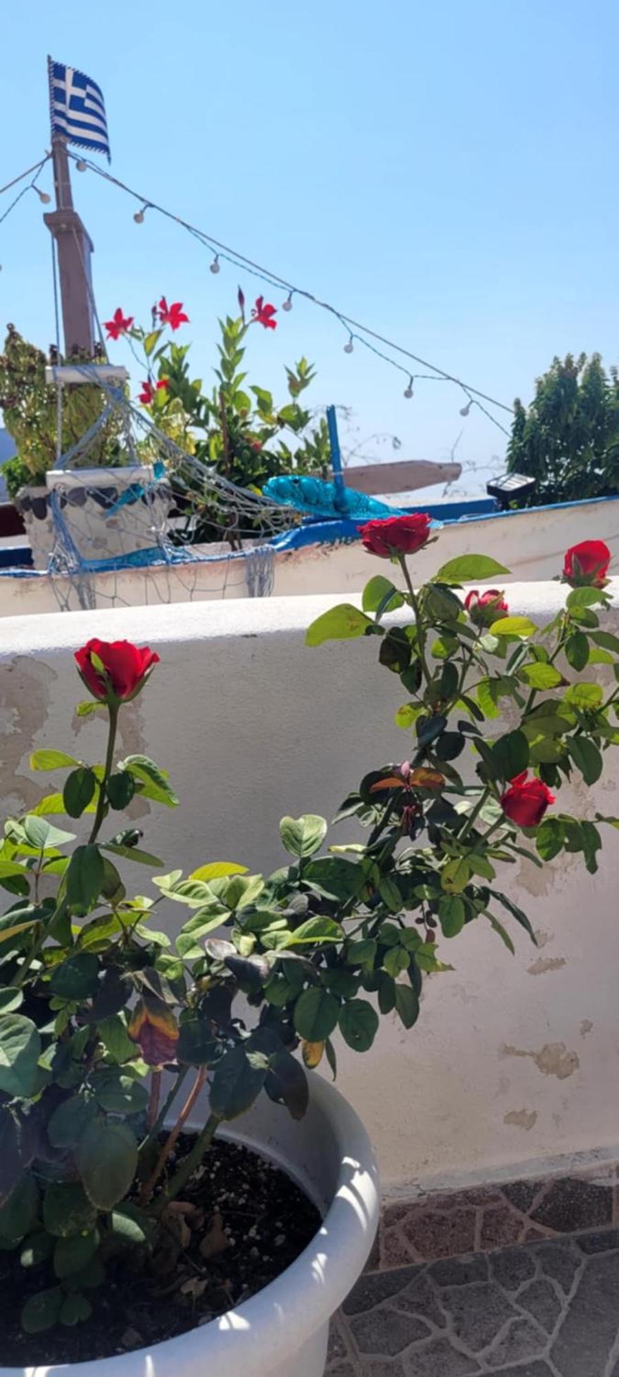 Rosalia Megalochori Apartment